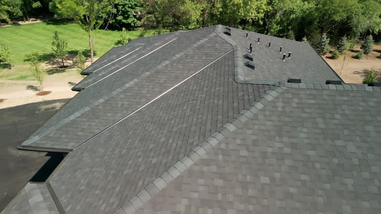 Best Roof Ventilation Installation  in Brocton, NY