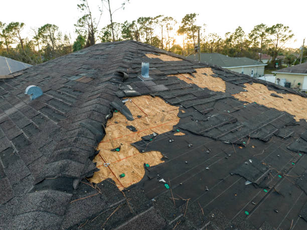 Best Commercial Roofing Services  in Brocton, NY