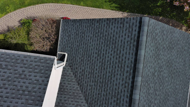 Best Roof Insulation Installation  in Brocton, NY